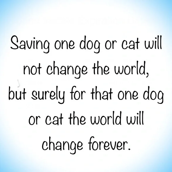 Jane Iredale Eyeshadow Magic - Picture 10 of 10